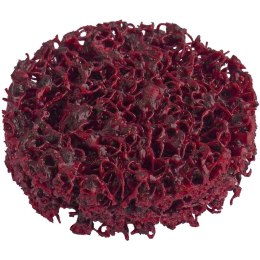 NARZĘDZIA Z WŁÓKNINY CZYSZCZĄCEJ ASVR 050 10 SZT LUKAS