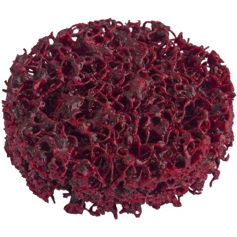 NARZĘDZIA Z WŁÓKNINY CZYSZCZĄCEJ ASVR 050 10 SZT LUKAS