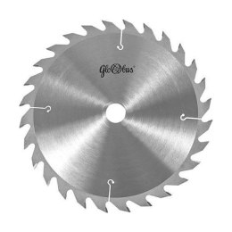 PIŁA SPIEKOWA 300*30*3.2/2.2/24Z GS20 GLOBUS