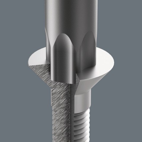 WKŁADKA PIANKOWA Z WKRĘTAKAMI DO ŚRUB I WKRĘTÓW TORX 14CZ, WERA WKŁADKA PIANKOWA Z WKRĘTAKAMI DO ŚRUB I WKRĘTÓW TORX 14CZ, WERA