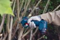 SEKATOR AKUMULATOROWY BOSCH PRO PRUNER 12V 25MM BEZ AKUMULATORA