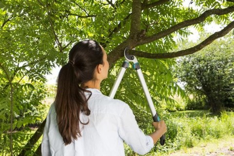 NOŻYCE DO GAŁĘZI EC 680A GARDENA NOŻYCE DO GAŁĘZI EC 680A GARDENA