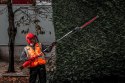 NOŻYCE DO ŻYWOPŁOTU QUIK-LOK M18FOPH-HTA MILWAUKEE