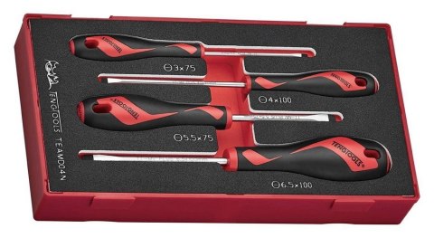 ZESTAW WKRĘTAKÓW PŁASKICH TENG TOOLS TEAMD04N, 4SZT. TENG TOOLS ZESTAW WKRĘTAKÓW PŁASKICH TENG TOOLS TEAMD04N, 4SZT. TENG TOOLS