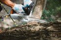 PILARKA SPALINOWA MS 194 T 3/8P P 35CM/14 63PM3 STIHL