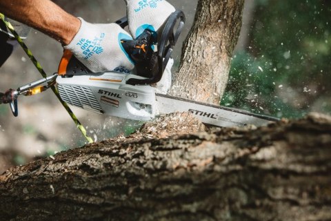 PILARKA SPALINOWA MS 194 T 3/8P P 35CM/14 63PM3 STIHL PILARKA SPALINOWA MS 194 T 3/8P P 35CM/14 63PM3 STIHL