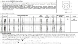 ŚRUBA Z UCHEM OCYNKOWANY DIN580 30MM UN