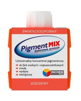 INCHEM PIGMENT MIX ŁOSOŚ 80ML INCHEM
