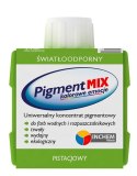INCHEM PIGMENT MIX PISTACJA 80ML INCHEM