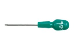 WKRĘTAK HI-TEC SECURITY T20*100MM