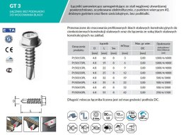 WKRĘT SAMOWIERCĄCY GT3 4.8*19MM RAL8017 ETANCO