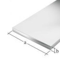 PŁASKOWNIK ALUMINIOWY ANODOWY 1000X30X2,0 UN