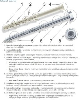 DYBEL RAMOWY ŁEB SZEŚCIOKĄTNY PODKŁADKOWY AC TORX 10/100MM ARVEX