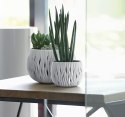 DONICZKA BOWL SANDY - KREM PROSPERPLAST