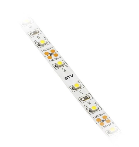 TAŚMA FLASH 3528 300LED BIAŁY ZIMNY 24W IP20 8MM 5M 12V GTV TAŚMA FLASH 3528 300LED BIAŁY ZIMNY 24W IP20 8MM 5M 12V GTV