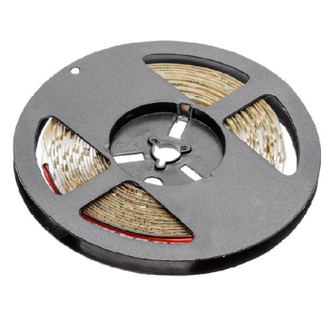 TAŚMA FLASH 3528 300LED BIAŁY ZIMNY 24W IP20 8MM 5M 12V GTV TAŚMA FLASH 3528 300LED BIAŁY ZIMNY 24W IP20 8MM 5M 12V GTV