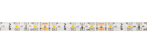 TAŚMA FLASH 3528 300LED BIAŁY ZIMNY 24W IP65 8MM 5M 12V GTV TAŚMA FLASH 3528 300LED BIAŁY ZIMNY 24W IP65 8MM 5M 12V GTV
