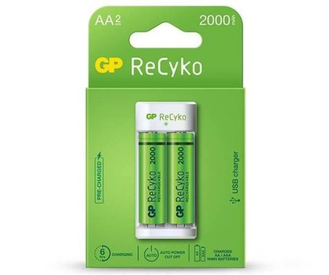 ŁADOWARKA E211 2X210AAHCN GP BATTERY ŁADOWARKA E211 2X210AAHCN GP BATTERY