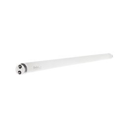 ŚWIETLÓWKA LINIOWA TUBA SZKLANA T8 58W/865 150CM KANLUX