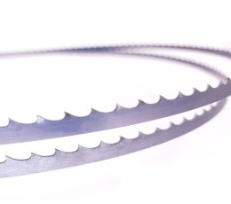 PIŁA TAŚMOWA DO DREWNA MK MORSE 13*0.64*1638MM T=8/12 GLOB