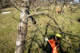 PODKRZESYWARKA PRZYSTAWKA MA-MS 25 METABO