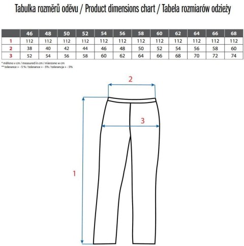 SPODNIE DO PASA CXS CEFEUS, SZARO-NIEBIESKIE ROZM.58 CXS