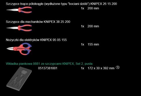 WKŁADKA PIANKOWA 9781 ZE SZCZYPCAMI SET 2 3CZ WERA