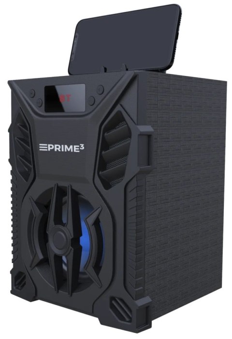 GŁOŚNIK PRZENOŚNY Z FUNKCJĄ KARAOKE VICE APS11 BLAUPUNKT